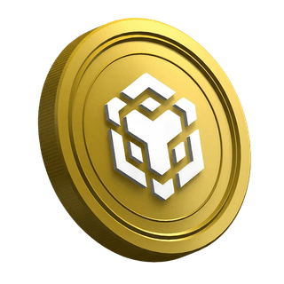 Página de guia para trader iniciante com a criptomoeda BNB